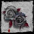 NoDream